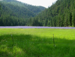 Field in Montana