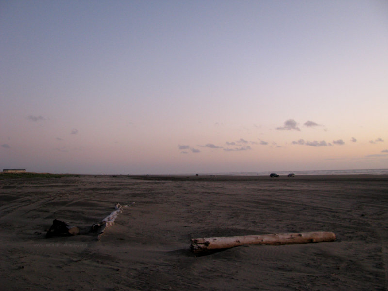Beach in Washington