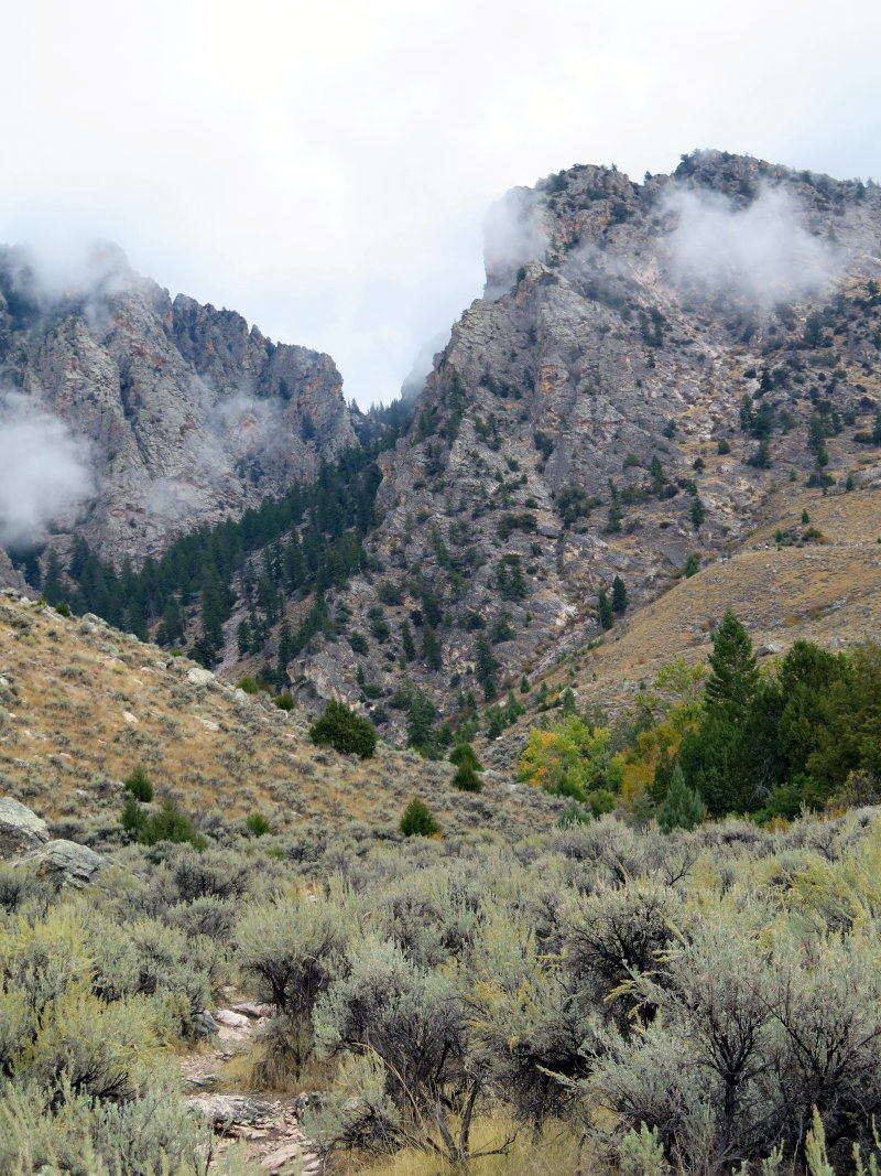 Rocky mountains