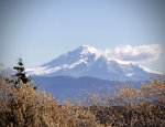 Mt Baker
