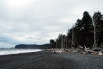 Rialto Beach in Washington State