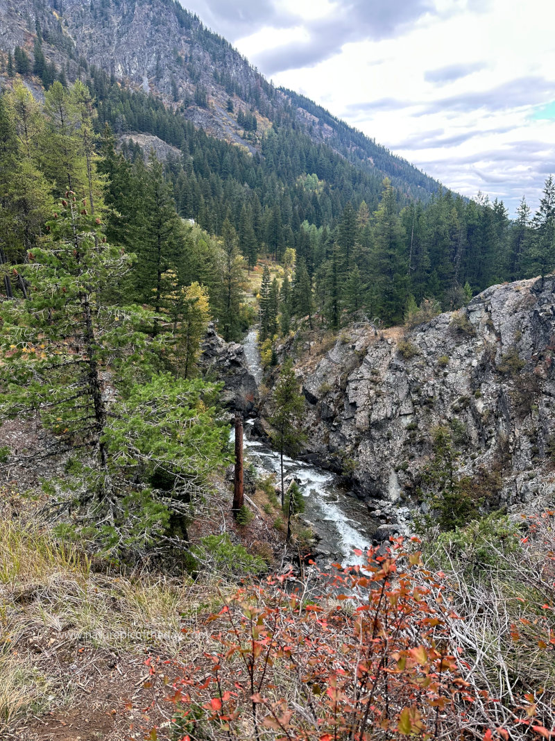 West Fork of the Wallowa River