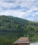 Heron on the Dock