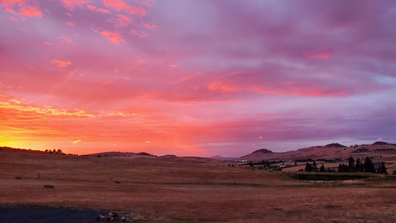 Sunset on the Palouse