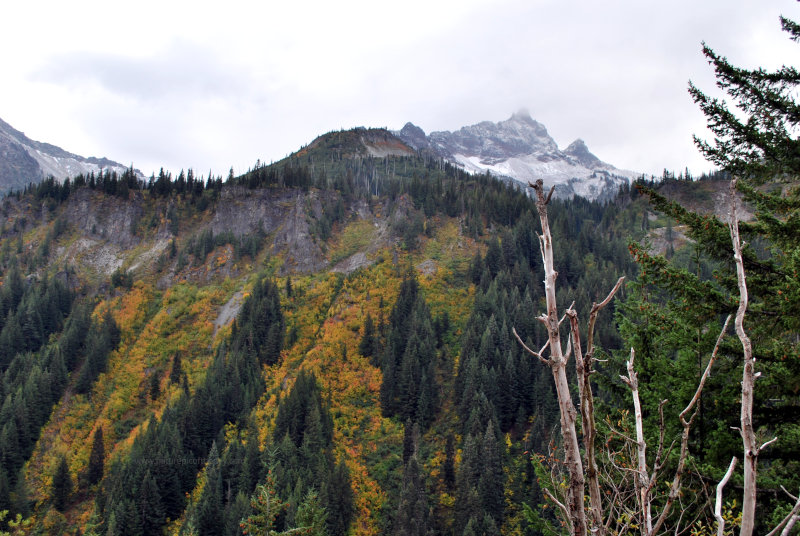 Autumn in Rainier